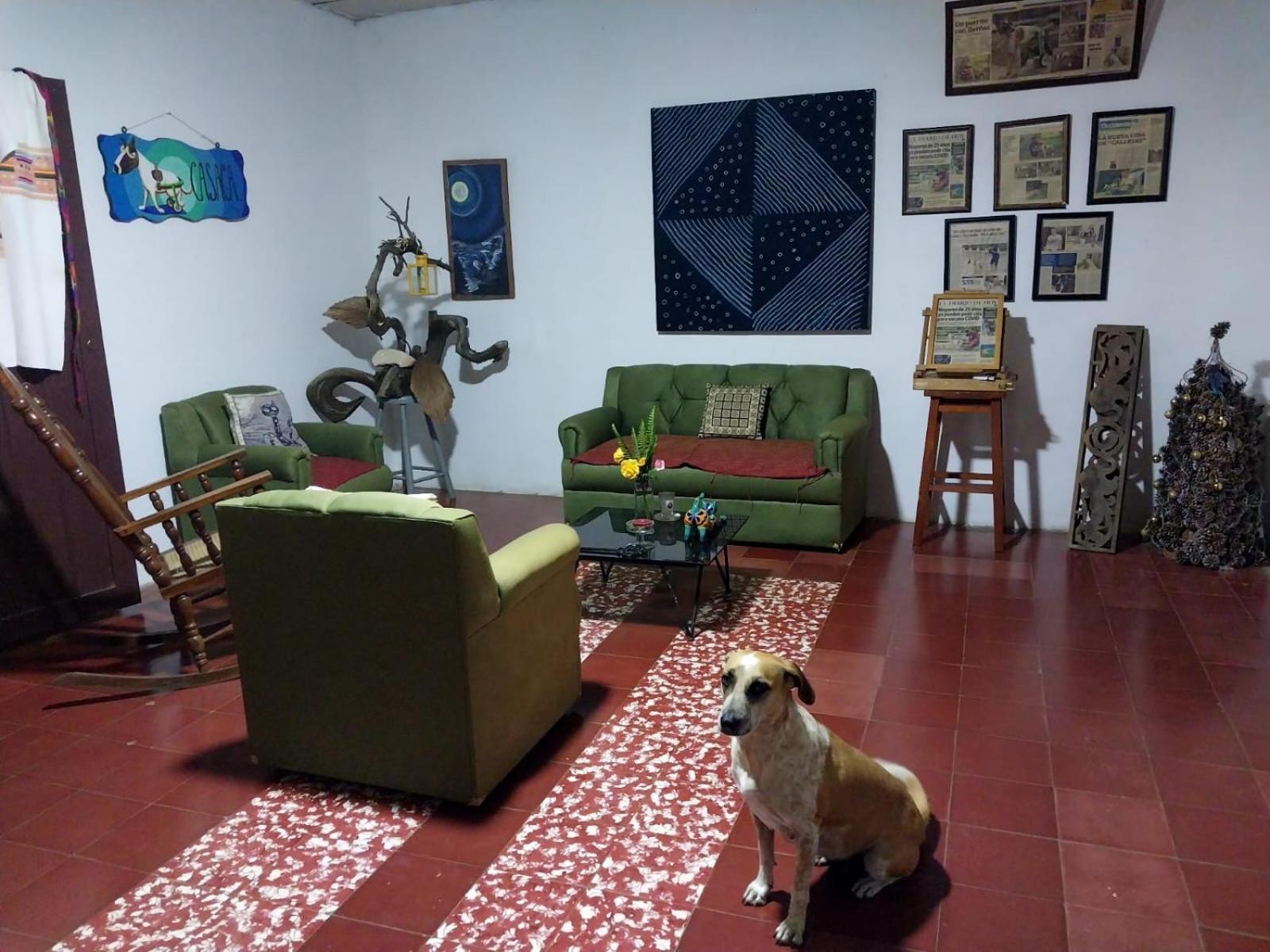 Casaca Apartment Concepcion de Ataco Bagian luar foto